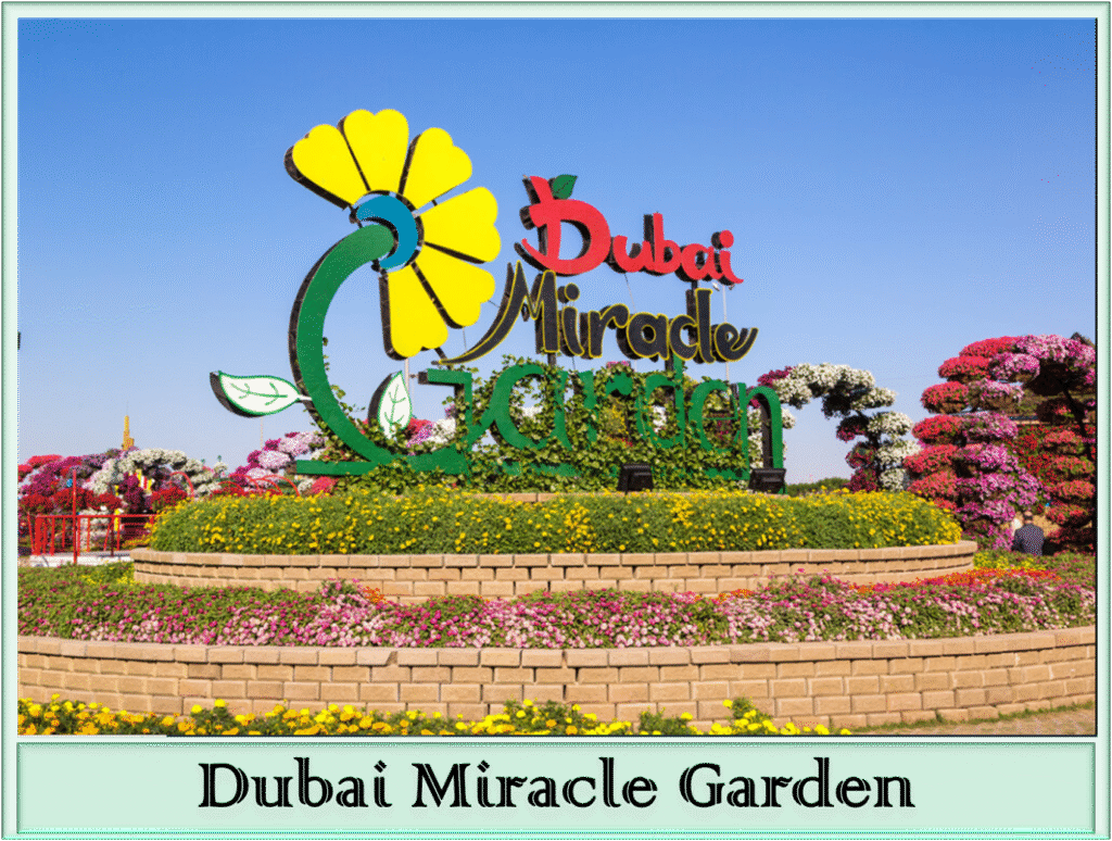 Miracle Garden Dubai 