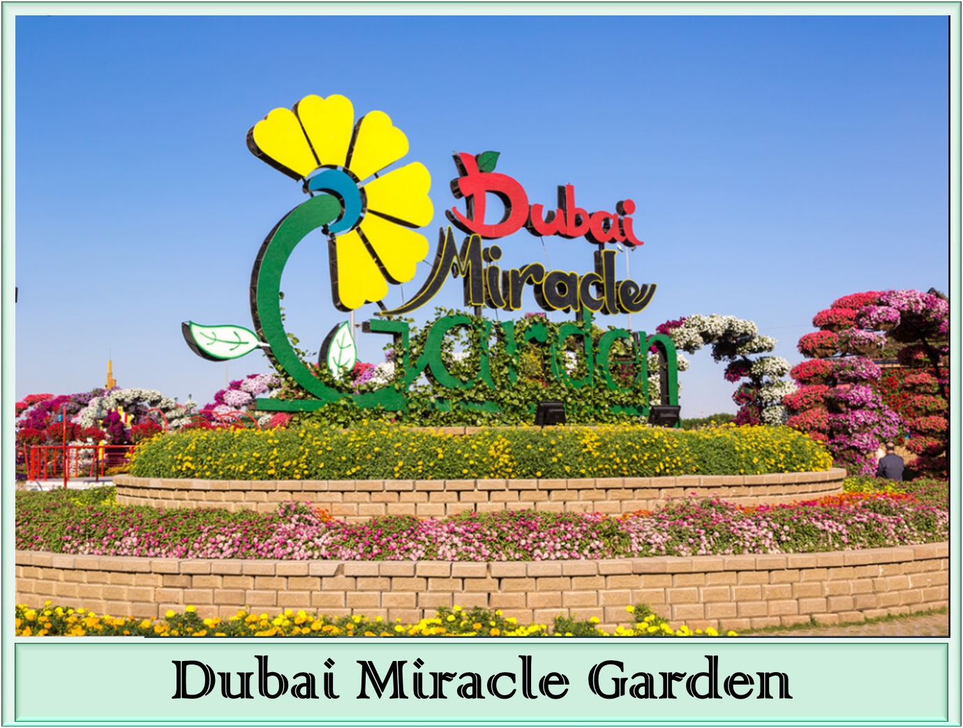 Miracle Garden Dubai