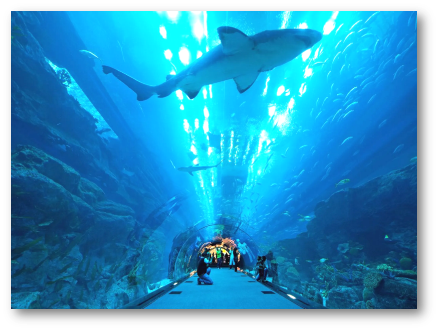 Inside view of Dubai Aquarium & Underwater Zoo at The Dubai Mall